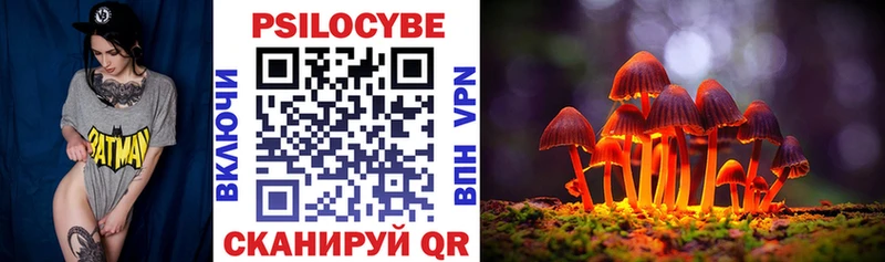 Псилоцибиновые грибы прущие грибы  Рыльск 