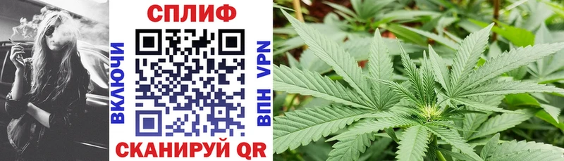 Шишки марихуана SATIVA & INDICA  Рыльск 